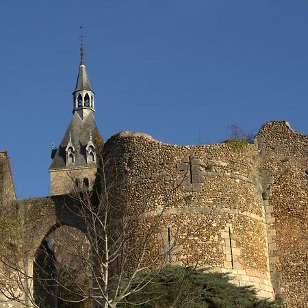 Vila Gite "La Mesangerie" Château-Renard Exteriér fotografie