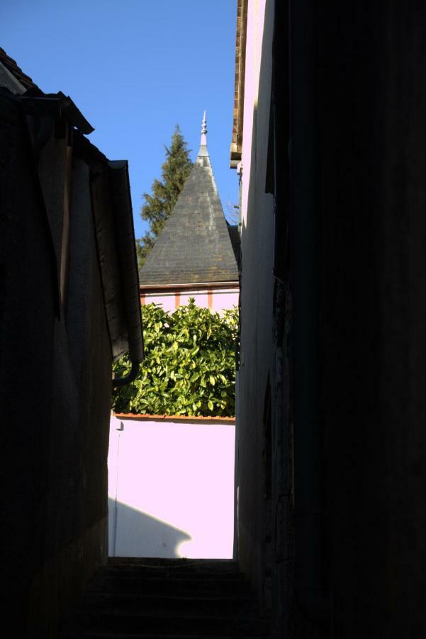 Vila Gite "La Mesangerie" Château-Renard Exteriér fotografie